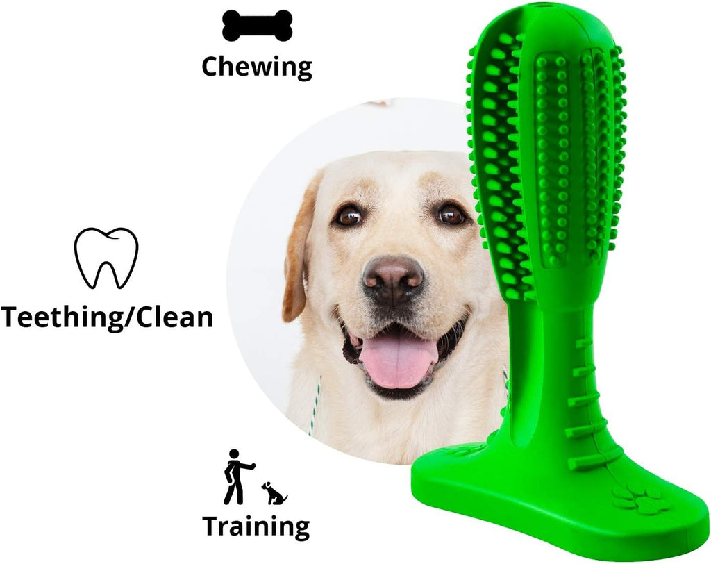 Dog Chew Toothbrush – Dental Cleaning Toy for Dogs | Plaque Removal & Fresh Breath | Durable Chew Toy